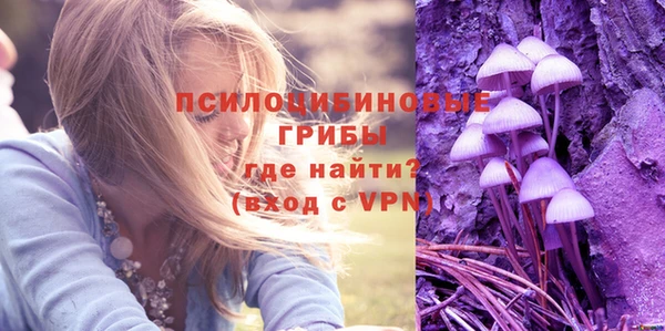бошки Краснотурьинск