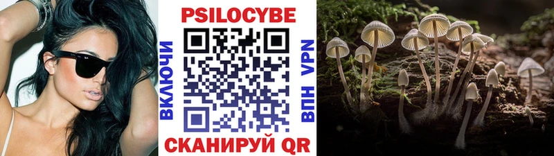 сколько стоит  Нальчик  Галлюциногенные грибы Magic Shrooms 